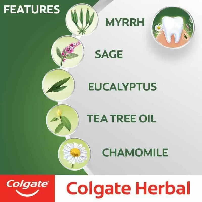 Colgate Herbal 100Ml Import - MeStore - Colgate