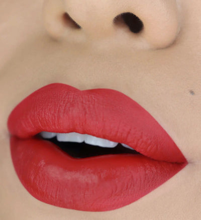 Matte Liquid Lips ( 026, Brick ) - MeStore - Moira Beauty