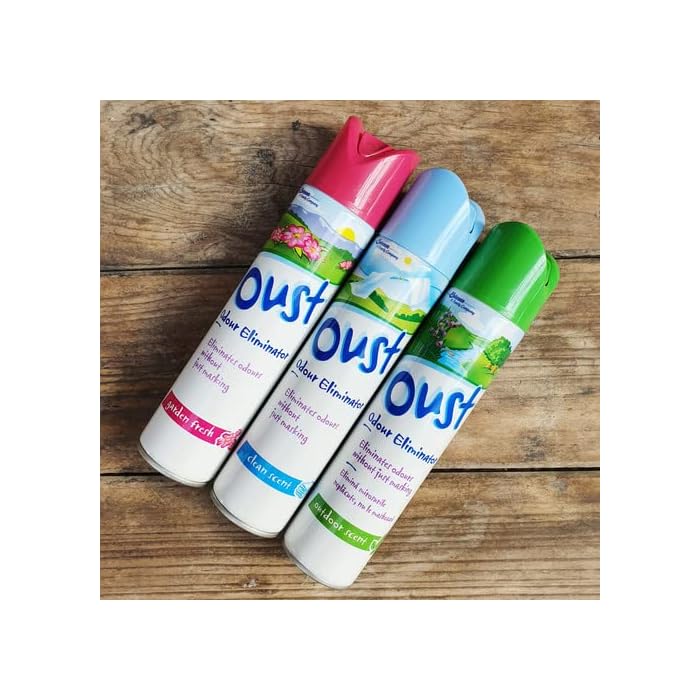 Oust Room Spray 300Ml Outdoor Scent - MeStore - Oust