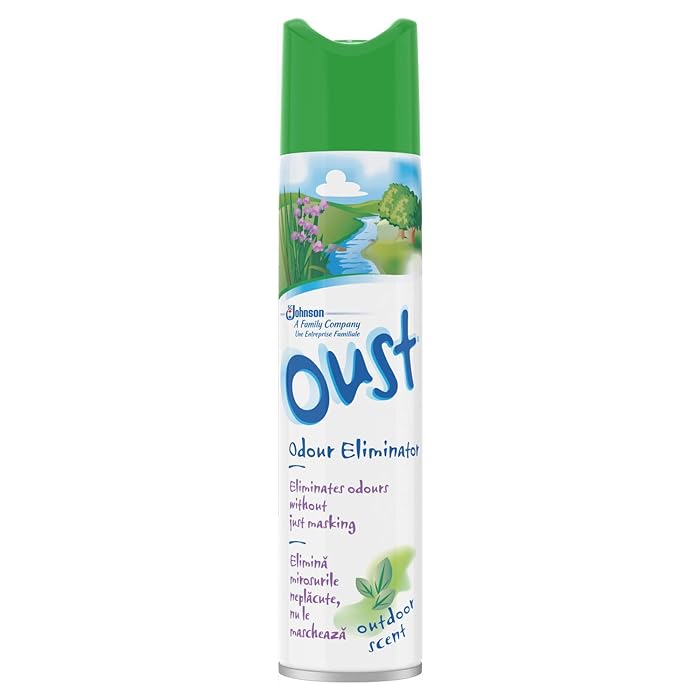 Oust Room Spray 300Ml Outdoor Scent - MeStore - Oust