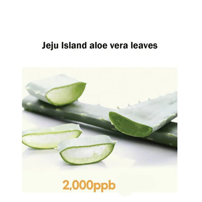 Pldq Fresh Aloe Powdery Sunstick - 20g - MeStore - PLDQ